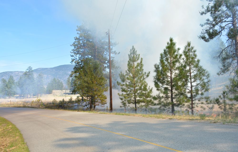 Cigarette may have caused grass fire
