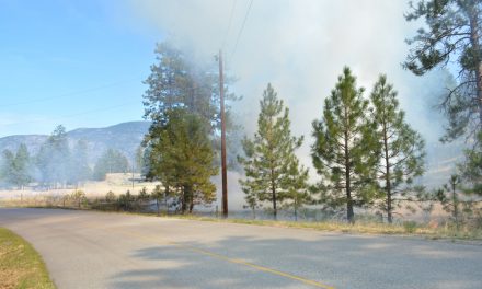 Cigarette may have caused grass fire