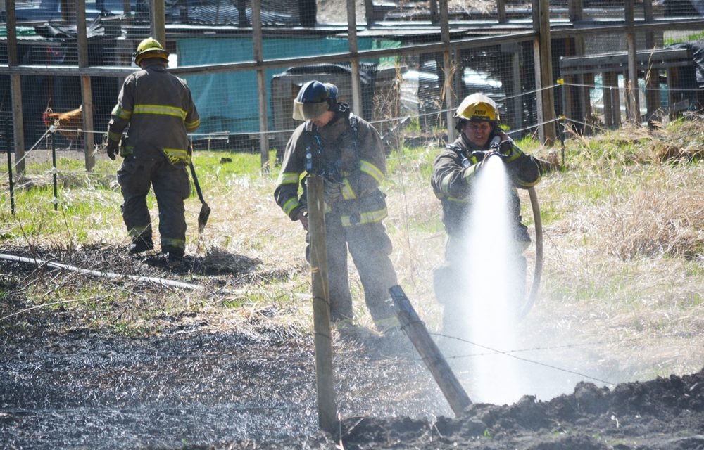 Firefighters race to extinguish grass fire