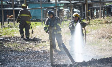 Firefighters race to extinguish grass fire