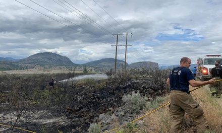 Birds cause of grass fire