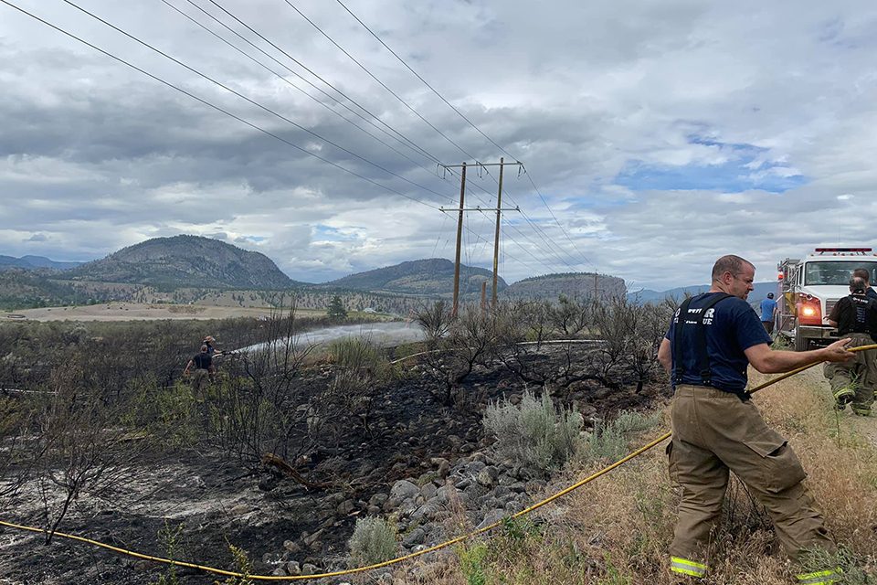 Birds cause of grass fire