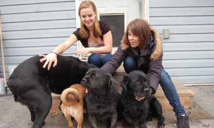 Residents given deadline to get rid of dogs