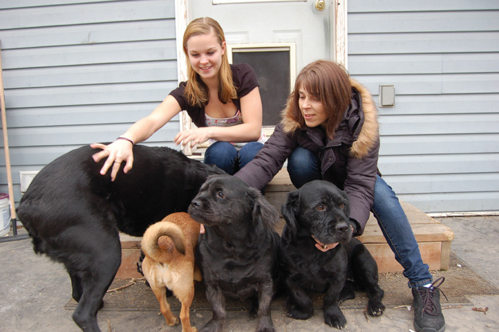 Residents given deadline to get rid of dogs