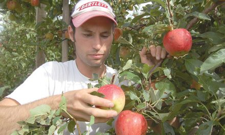 Young farmer defends valuable worker programs
