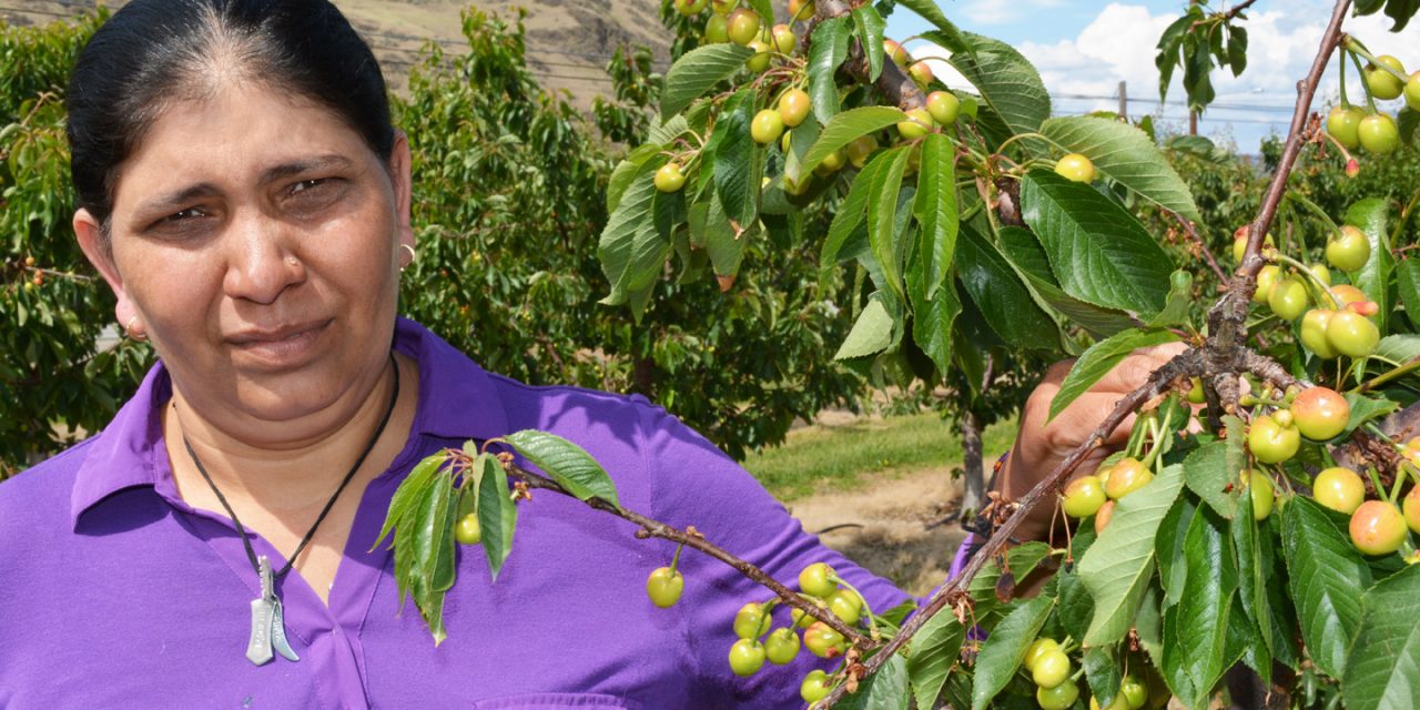 Single mom loses $95,000 in crops to hail storm
