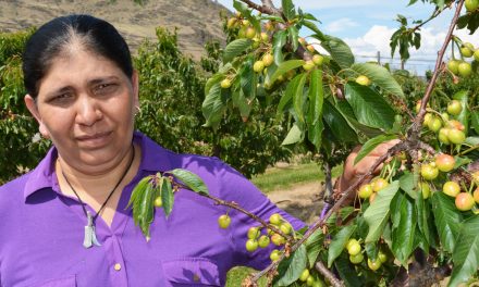 Single mom loses $95,000 in crops to hail storm