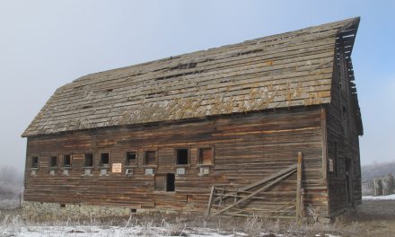 Town chips in to preserve Haynes Ranch