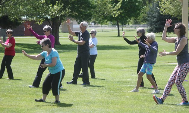 New recreation committee seeks more public members
