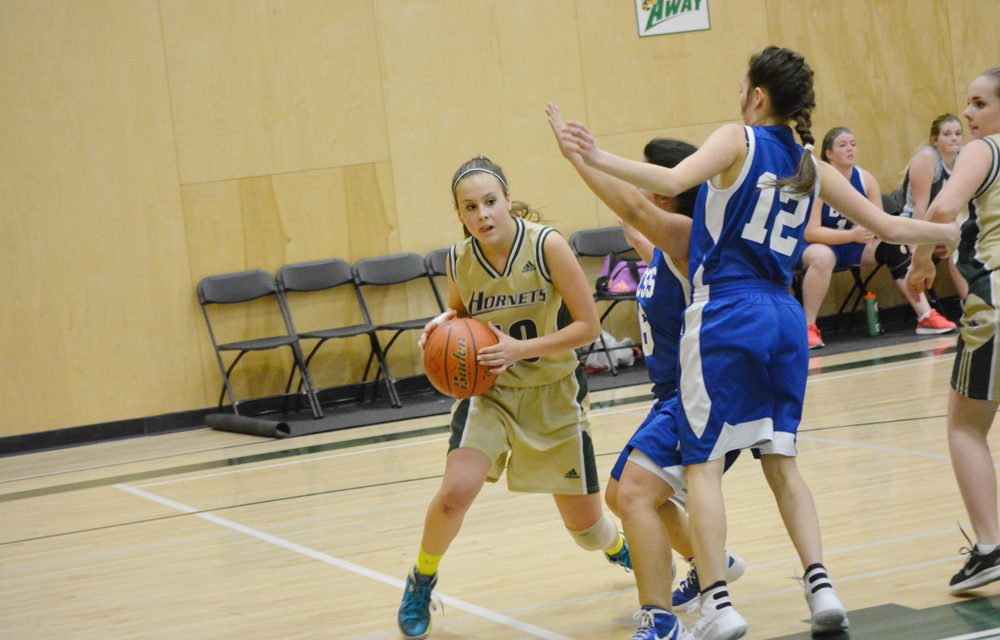 Junior/senior girls basketball team playing tough