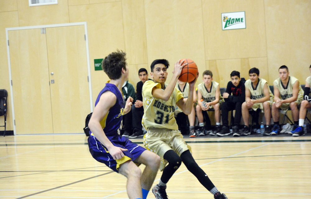 Hornets host ‘Shootout’ today and Saturday