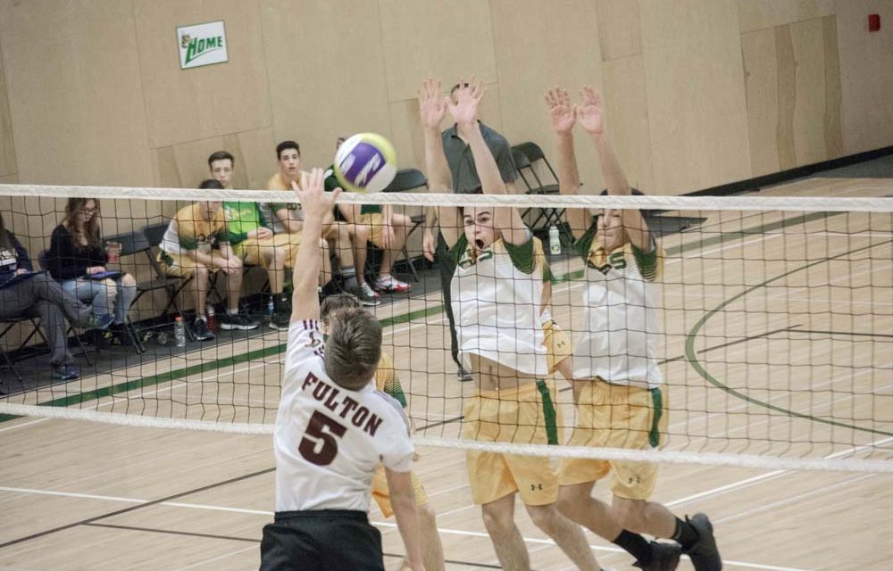 Hornets get stung in valley championships