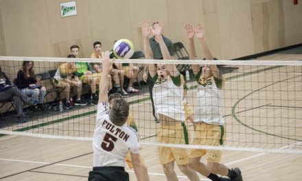 Hornets get stung in valley championships