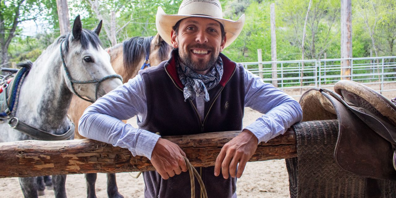 Osoyoos wild horses joining trek across Americas