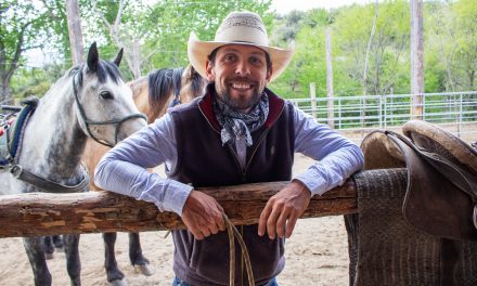 Osoyoos wild horses joining trek across Americas
