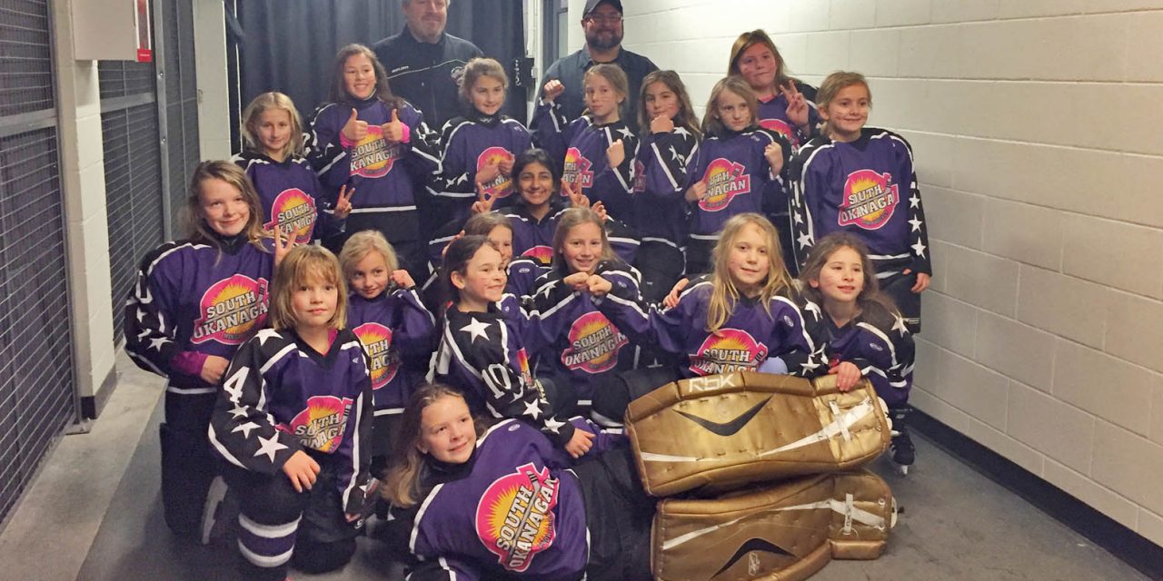 Girls hockey club searching for stars