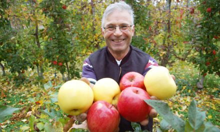 Oliver apple grower brings home awards