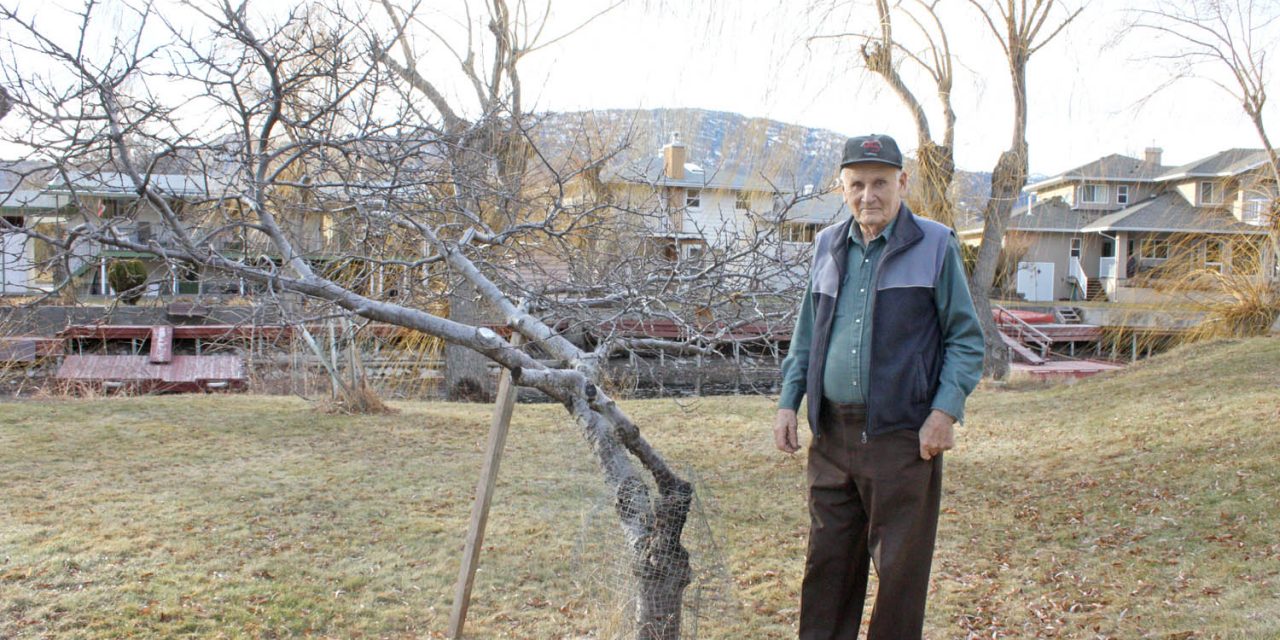 Destructive beavers have made life miserable for local homeowner for almost three decades