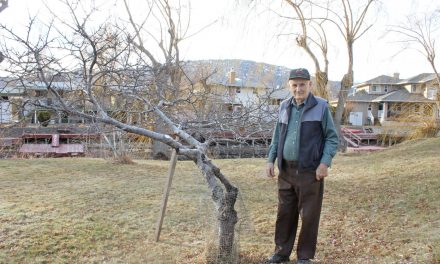 Destructive beavers have made life miserable for local homeowner for almost three decades