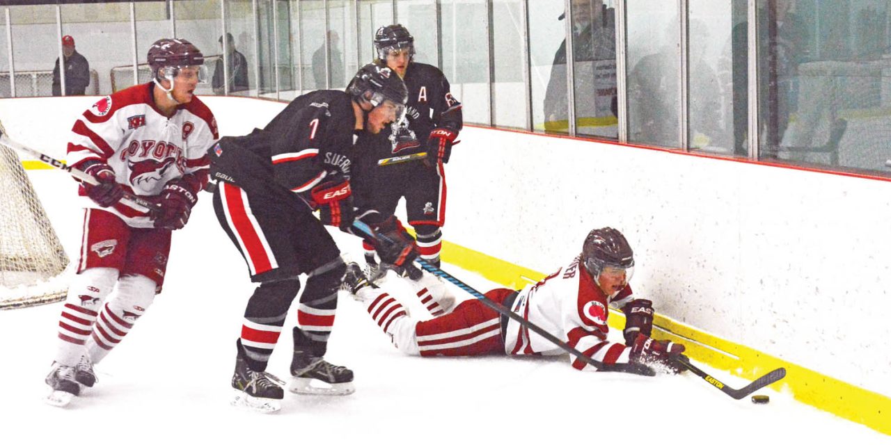 Win and tie all but guarantee first-place finish for Coyotes