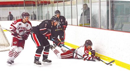 Win and tie all but guarantee first-place finish for Coyotes