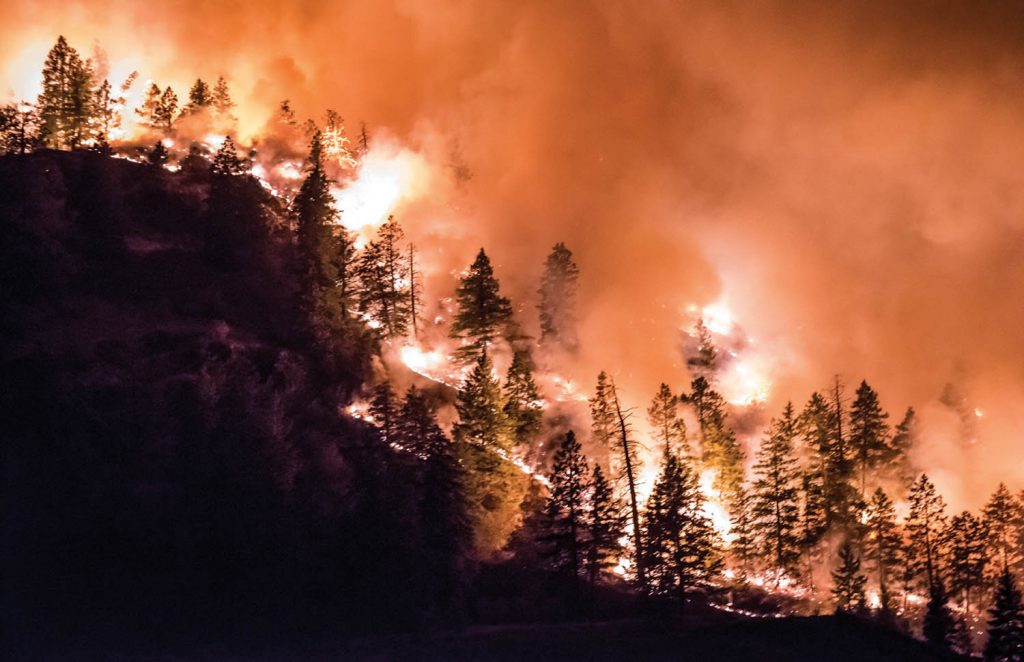 Trees burn as intense flames spread down the base of Mount Kobau just south of Testalinden Creek during one of the many dangerous wildfires that broke out in August. (Richard McGuire file photo)