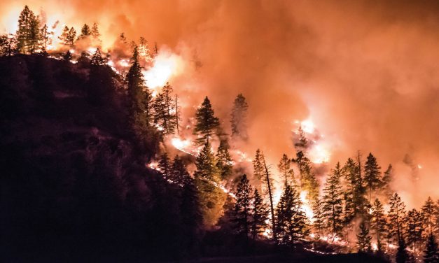 Wildfire danger rating raised to moderate or high