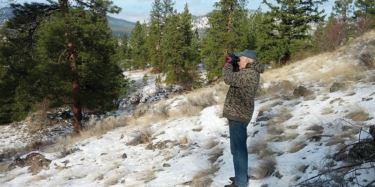Annual bird count discovers lowest number of species and birds in more than a decade