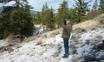 Annual bird count discovers lowest number of species and birds in more than a decade