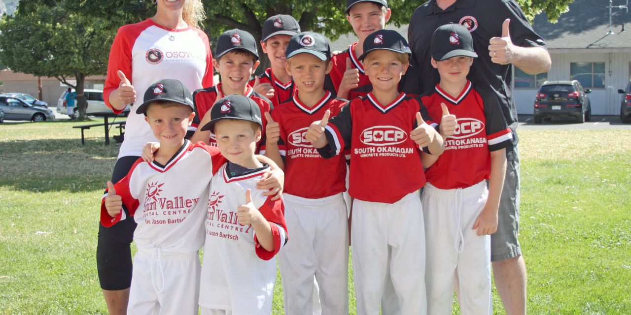 Osoyoos minor baseball asks town to help build new park for young players