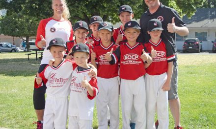 Osoyoos minor baseball asks town to help build new park for young players