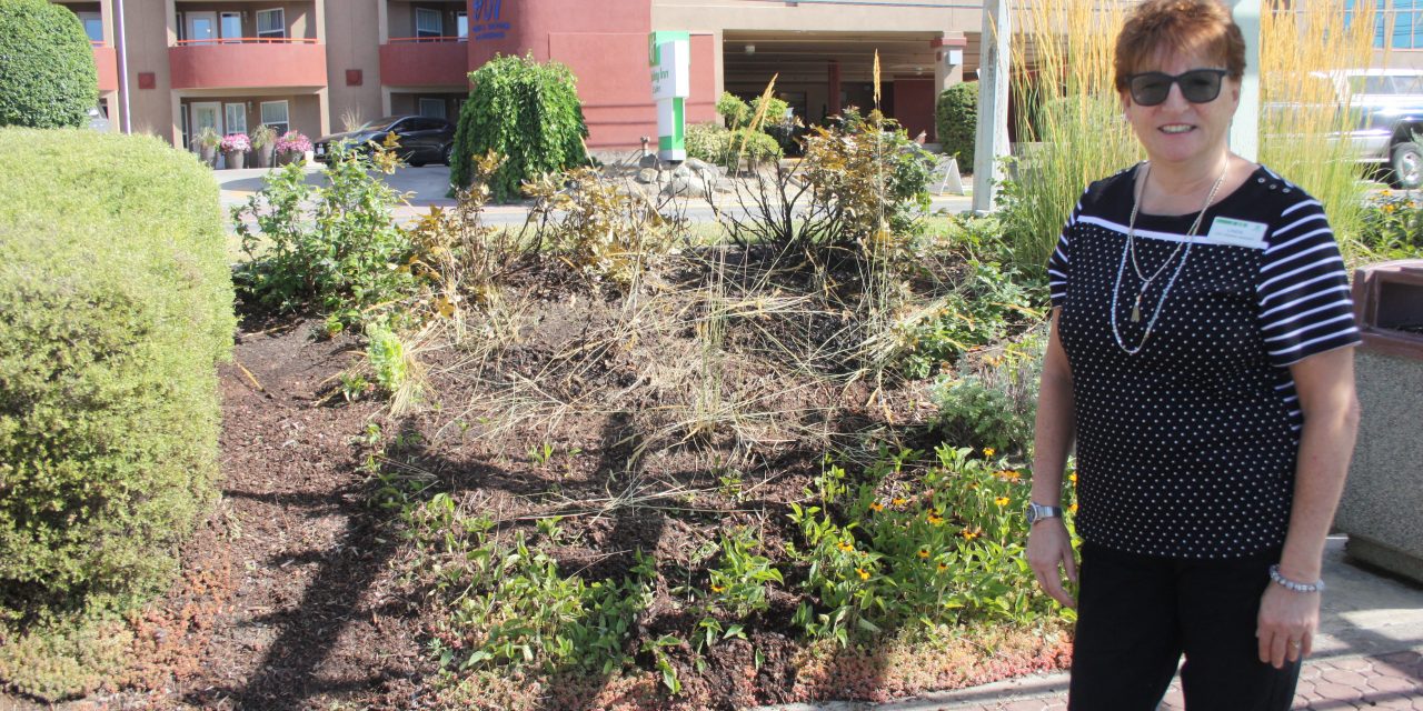 Only through good fortune disaster avoided as careless smokers cause second fire in five days in Osoyoos