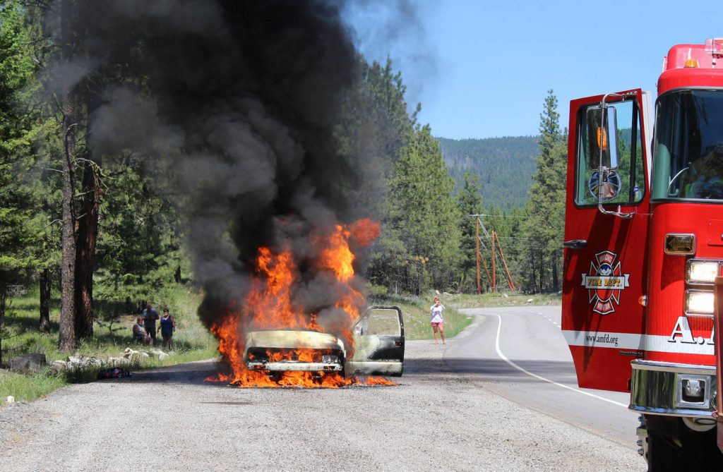 Anarchist Mountain Fire Department was called to the scene of a truck fire shortly before 2 p.m. on Sunday afternoon on Highway 3 east of Osoyoos.  Reader Martin Gedig was driving past with his daughter when he snapped this photo. (Martin Gedig photo)