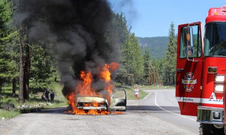 Anarchist Fire Department deals with truck fire