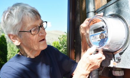 Woman upset company threatened to turn off power if she didn’t allow smart meter on home