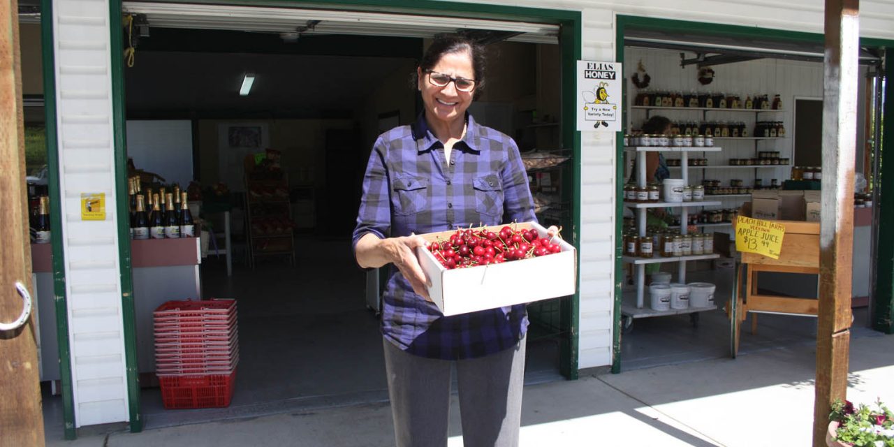 Early fruit and cherry harvest means Osoyoos fruit stands have opened early