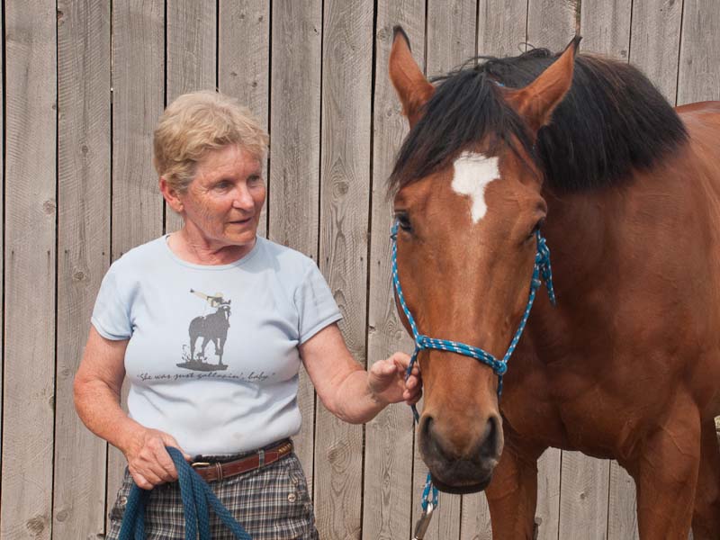 Desert Park offers space to flood-stranded horses