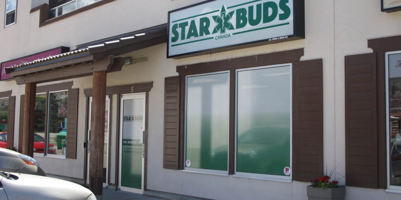 Speakers debate medical pot dispensaries at town bylaw hearing