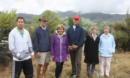 Nature lovers are livid hundreds of trees being cut down inside Haynes Point Provincial Park