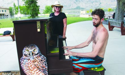 Piano in the Park should have toes tapping inside Gyro Park for the rest of the summer