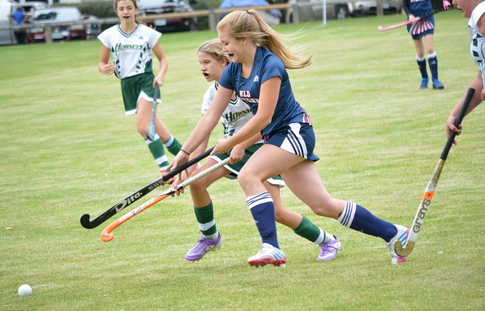 ‘Field’ hockey of dreams