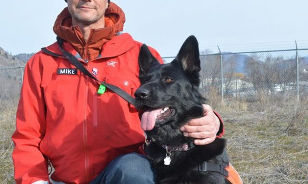 Kaya ready to be top dog in SAR field