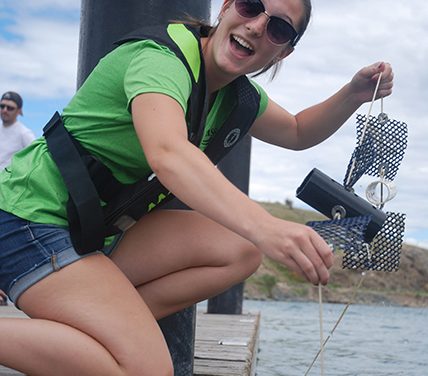 Citizen scientists needed to monitor invasive mussels in Osoyoos