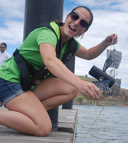Citizen scientists needed to monitor invasive mussels in Osoyoos