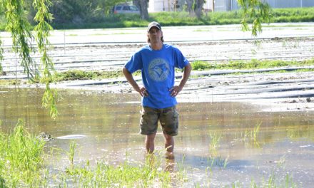 Flooded resident at wit’s end, demands answers