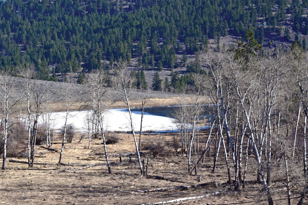The Kit Carr property includes a lake, shown here in winter. (NCC photo)