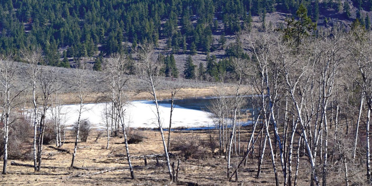 NCC land purchase links key grasslands parcels