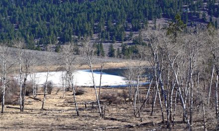 NCC land purchase links key grasslands parcels