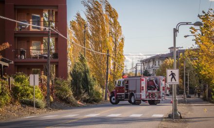 Windstorm leaves Lakeshore Drive residents without power