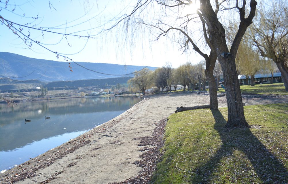 Town relaxes fire pit rule for campgrounds